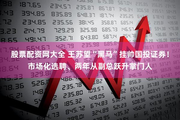 股票配资网大全 王苏望“黑马”挂帅国投证券！市场化选聘、两年从副总跃升掌门人