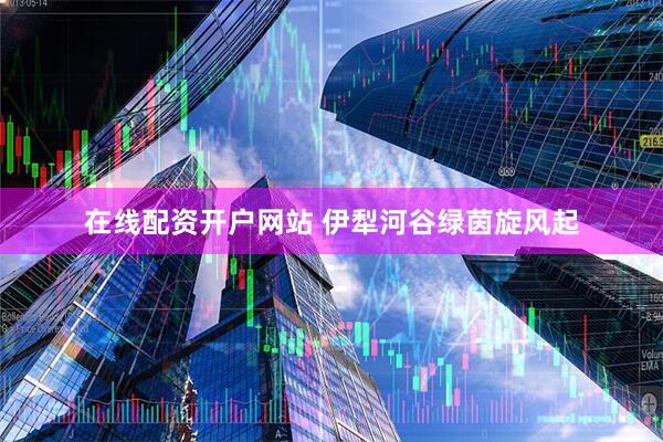 在线配资开户网站 伊犁河谷绿茵旋风起