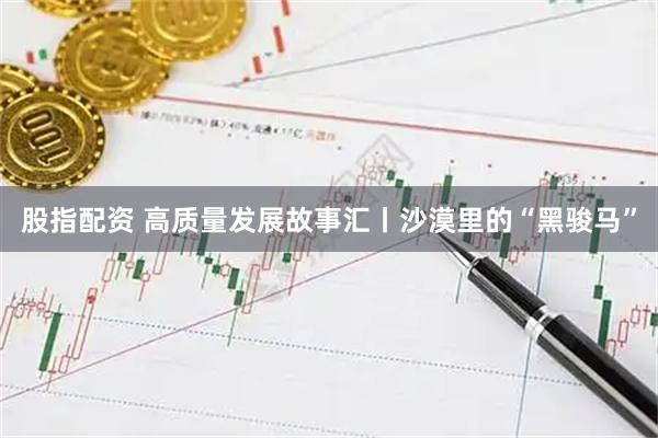 股指配资 高质量发展故事汇丨沙漠里的“黑骏马”
