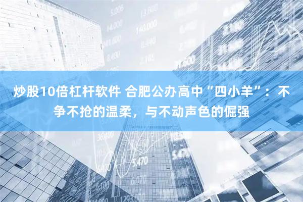 炒股10倍杠杆软件 合肥公办高中“四小羊”：不争不抢的温柔，与不动声色的倔强