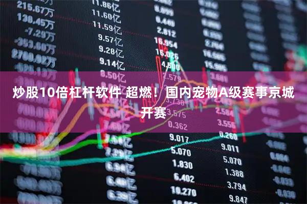 炒股10倍杠杆软件 超燃!国内宠物A级赛事京城开赛