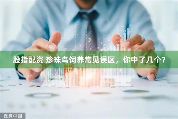 股指配资 珍珠鸟饲养常见误区,你中了几个?